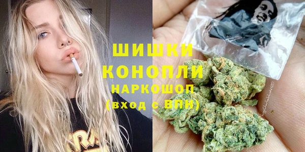 сатива Балахна