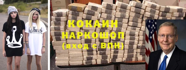 сатива Балахна
