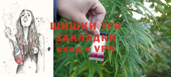 сатива Балахна