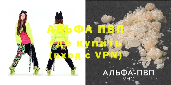 сатива Балахна