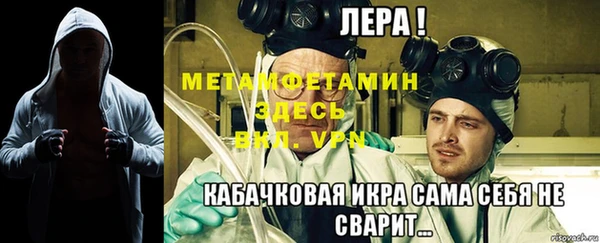 сатива Балахна